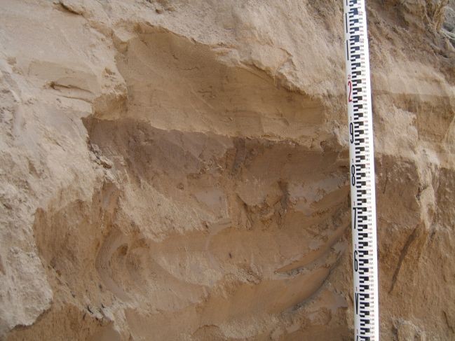  2006:09:06 22:41:57   NSideBuhaTer1 - Soft Sediment Deformation structures.jpg